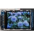 Accessories 2.2" TFT LCD Display w/microSD Breakout - ADA1480