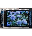 Accessories 2.2" TFT LCD Display w/microSD Breakout